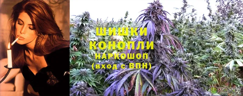 Марихуана OG Kush  Полярный 